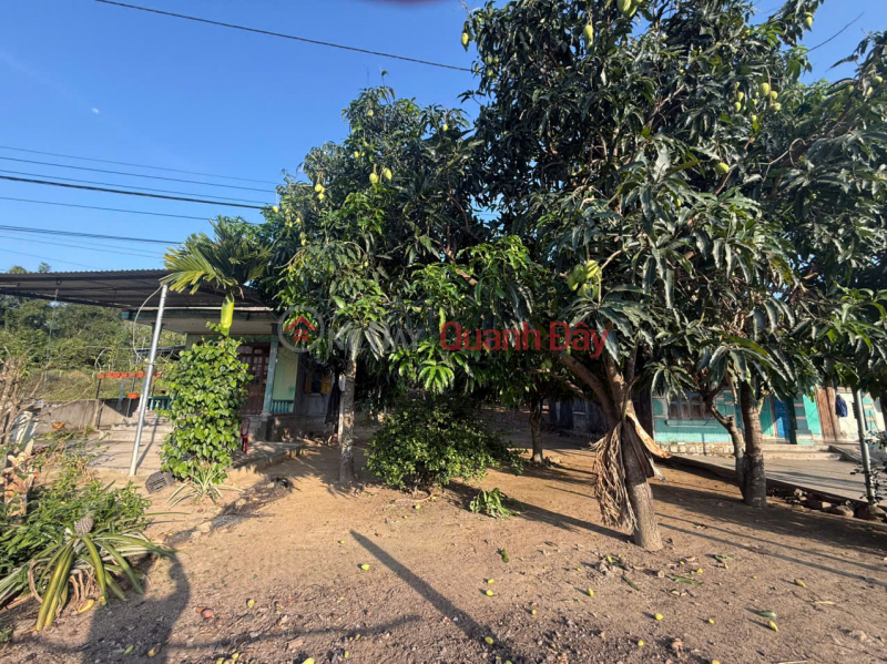 đ 1,65 tỷ | Chủ cần tiền nên bán nhanh 
Hội Xương suối hiệp Diên Khánh Khánh Hòa
Diện tích 649 m có 70m thổ . Ngang 9m