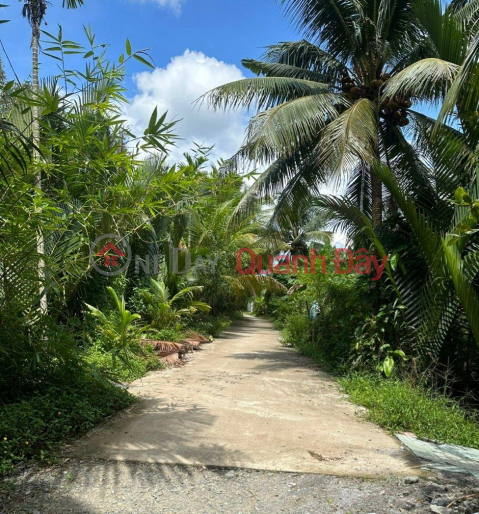 OWNER Urgently Needs To Sell Land Plot Location At Tan Phu Tay Commune, Mo Cay Bac District, Ben Tre _0