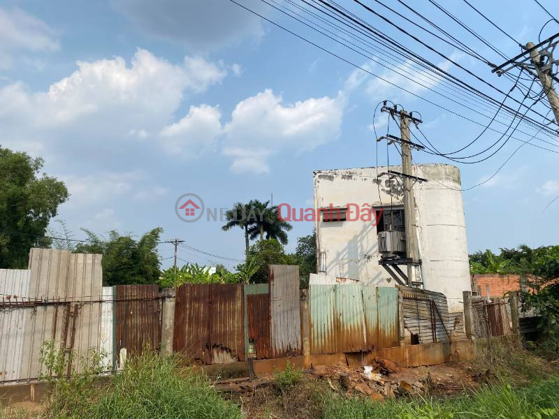 Factory for rent 2800m2 at B20\\/38 Hamlet 2, Binh Chanh commune, Binh Chanh 25,000,000 VND\\/month Rental Listings