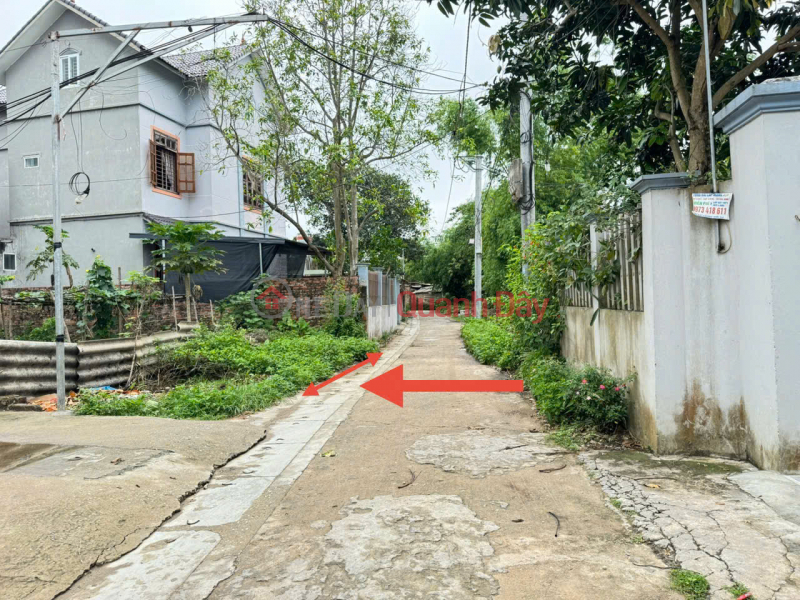 Property Search Vietnam | OneDay | Residential, Sales Listings, Selling 46m2 of land in Bao Thap village, Kim Hoa, Me Linh. Three steps to Ring Road 4