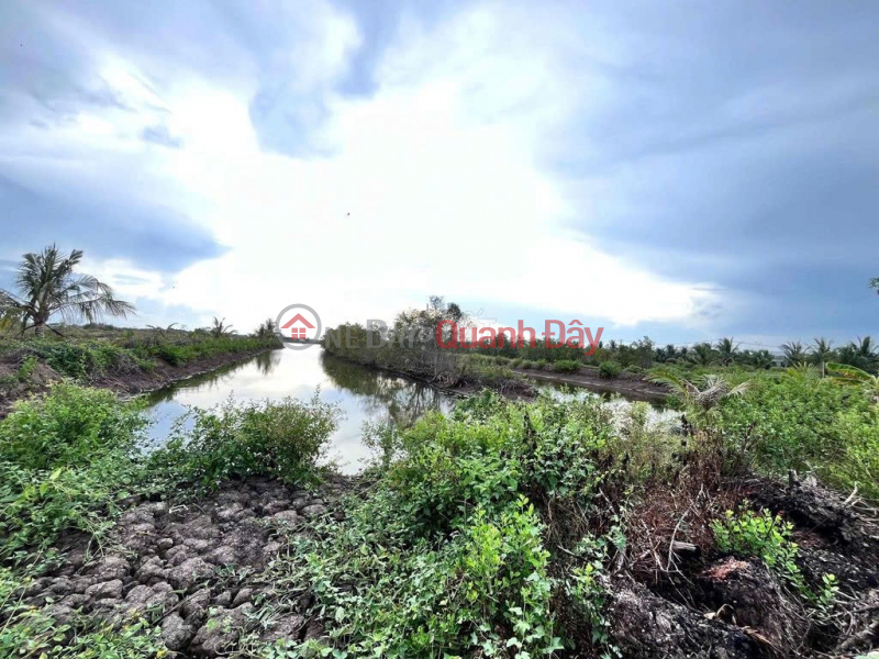 Property Search Vietnam | OneDay | Nhà ở | Niêm yết bán, ĐẤT NỀN MẶT TIỀN + KÈM VUÔNG LIỀN KỀ Tại Ấp 2, Thị trấn Cái Đôi Vàm, Huyện Phú Tân, Cà Mau
