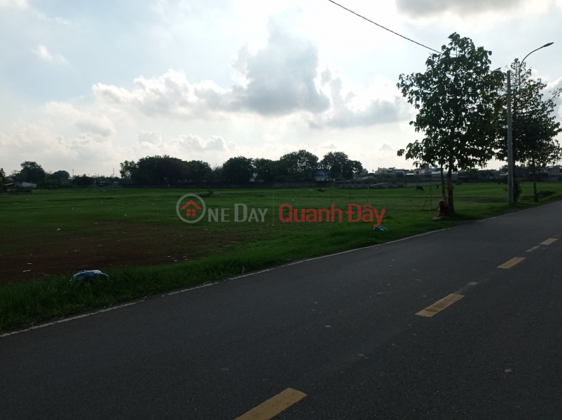 Land for sale in front of Nguyen Thi Danh, price 50 billion x billion Sales Listings