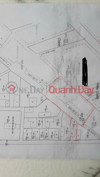 Property Search Vietnam | OneDay | Residential | Sales Listings BEAUTIFUL LAND - GOOD PRICE, PROFITABLE INVESTMENT, need to quickly sell a plot of land with a house as a gift in Tu Son town, Bac Ninh province