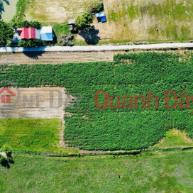 OPENING SPRING OPENING FOR SALE OF LAND LOT AT Village 1, Ninh Thuong Commune, Ninh Hoa Town, Khanh Hoa _0