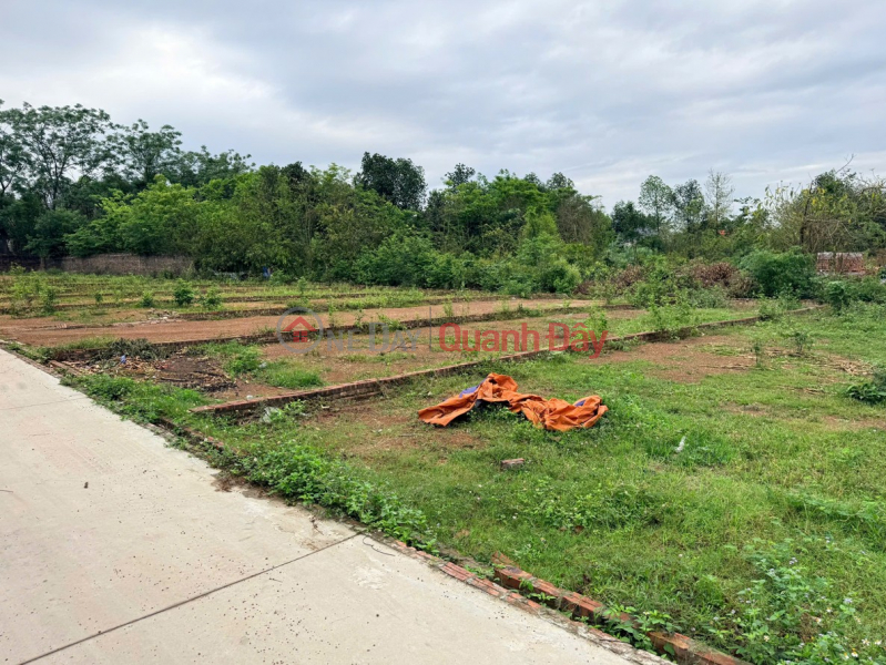 Dung Land is selling beautiful land plots in Thang Huu, Kim Anh, Hanoi - Many options starting from just over 2 billion VND. Sales Listings