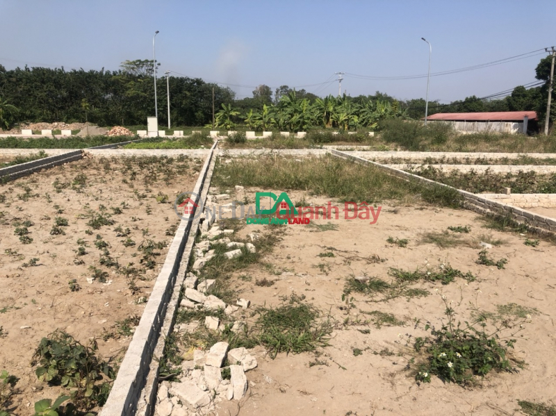 Property Search Vietnam | OneDay | Nhà ở Niêm yết bán Đất đấu giá điểm x1 thôn Hội Phụ xã Đông Hội gần Vinhomes Cổ Loa
