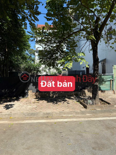 Property Search Vietnam | OneDay | Residential | Sales Listings Rare! Land for sale in Thach Ban TDC, divided into sidewalk lots, business, 50m2, more than 12 million, negotiable.