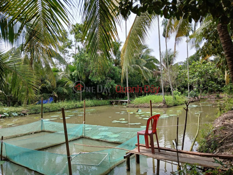 Property Search Vietnam | OneDay | Residential, Rental Listings, Need to quickly rent a plot of land at 529, Chi Sinh Street, Tan Phu Ward, Cai Rang District, Can Tho