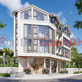 House for rent on Pham Hong Thai Street, Ward 10, Da Lat: 80 million VND\/month _0