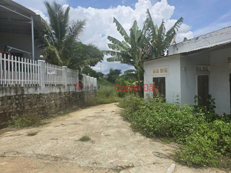 Property Search Vietnam | OneDay | Residential Sales Listings, 3880m2 land for sale in Ninh Gia, Duc Trong, Lam Dong, 3.9 billion VND.