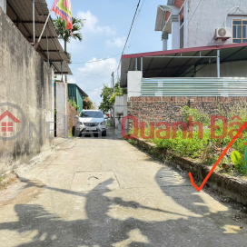 Bán Đất thôn Mai Đông, Mai Đình - Sóc Sơn - 83M2 - 2,55 Tỷ - Đường Thông Ô Tô đỗ _0