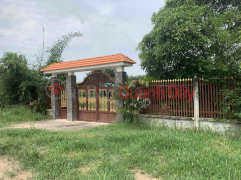 OWNER selling land on Street No. 3, Boi Loi, Ninh Phuc Quarter, Ninh Thanh Ward, Tay Ninh City _0