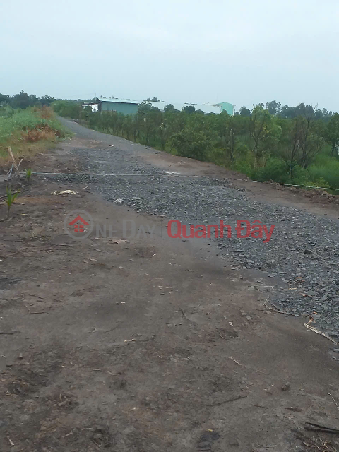 Owner Sells Prefabricated House And 1300m2 Of Land In Thuan Binh Commune, Thanh Hoa, Long An _0