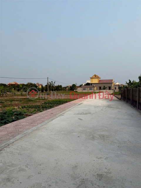 Beautiful land - good price Owner needs to quickly sell beautiful land plot in Quat Lam town, Nam Dinh province _0