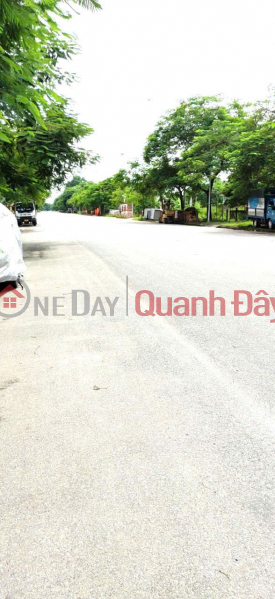Service land for sale in group 5, Quang Minh town, Me Linh. House C4 given away, currently rented for business Sales Listings