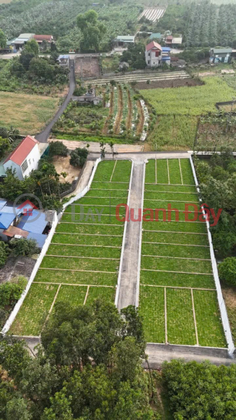 Property Search Vietnam | OneDay | Residential Sales Listings | HOT – PRIME INVESTMENT LAND IN CAO DUONG, LUONG SON, HOA BINH. Price just over 8 million VND\\/m², individual title deeds for each plot.