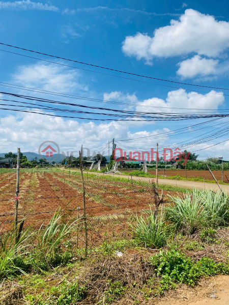 đ 1,3 tỷ, Bán 128m2 đất gần hồ Nam Sơn ĐỨC TRỌNG LÂM ĐỒNG 1 tỷ 300 triệu