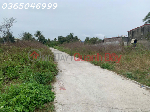 Need to transfer 2 plots of land in Tan Vu 2, Trang Cat, Hai An _0