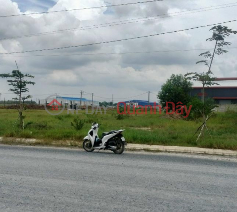 Urgent sale of land lot in front of DT 821 street, Loc Giang commune, Duc Hoa district, Long An province _0