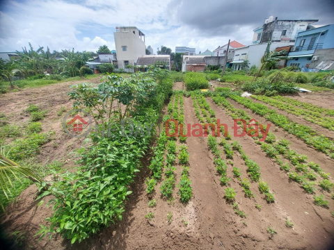 GENERAL FOR SALE QUICKLY Land Lot Beautiful Location Near Mai Luong Villa, Long Ho District, Vinh Long _0
