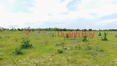 BEAUTIFUL LAND - GOOD PRICE Owner For Sale Land Lot Prime Location In Hong Liem Commune, Ham Thuan Bac District _0