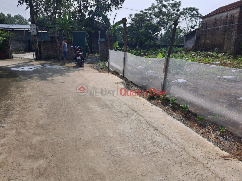 Property Search Vietnam | OneDay | Residential | Sales Listings, 449m Residential Land For Sale, Car Road To The Land In South Phuong Tien Price 1.4 Billion VND