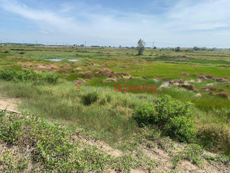 BEAUTIFUL LAND - GOOD PRICE - For Quick Sale Land Lot Prime Location In Ly Nhon Commune, Can Gio District Sales Listings