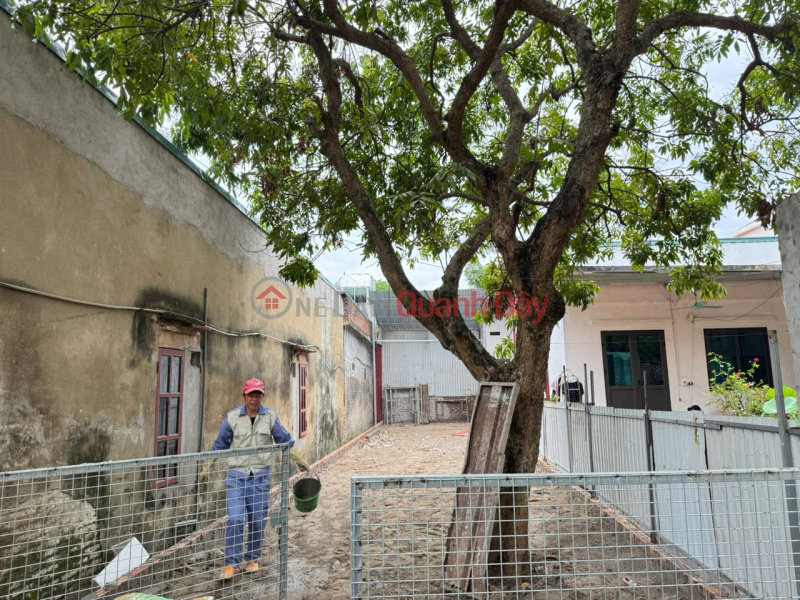 Property Search Vietnam | OneDay | Residential | Sales Listings, Land for sale in Chi Dong, Me Linh - 81m2 - Wide alley, car can park at the door - Near Quang Minh Industrial Park