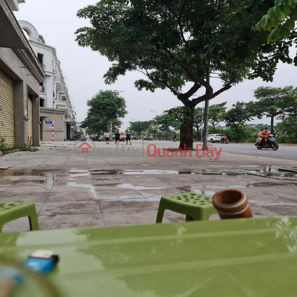 Selling 89m2 of land on a busy business street in Trau Quy, Gia Lam, Hanoi. Sales Listings