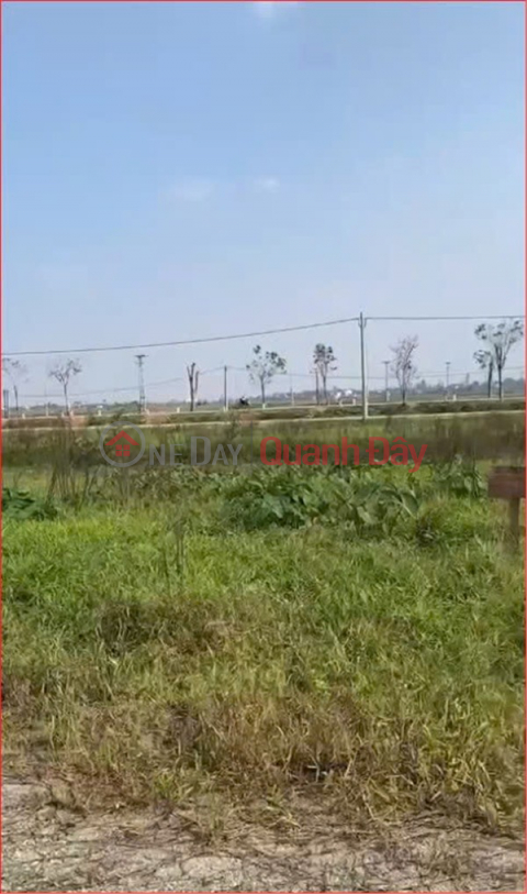 PRIME LAND – GREAT PRICE - URGENT SALE OF A BEAUTIFUL PLOT OF LAND IN DONG THUAN VILLAGE, KIM LIEN COMMUNE, NAM DAN DISTRICT, NGHE AN PROVINCE _0