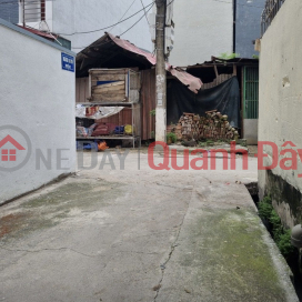 Land for sale Ngoc Chi, Vinh Ngoc near Nhat Tan bridge, car road, just over 2 billion VND _0