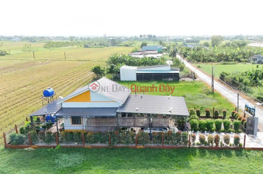 Chủ hạ sốc 1 tỷ 550 triệu - Cơ hội sở hữu nhà vườn mặt tiền huyện lộ 05B, Bình Nghị, Gò Công Đông Niêm yết bán