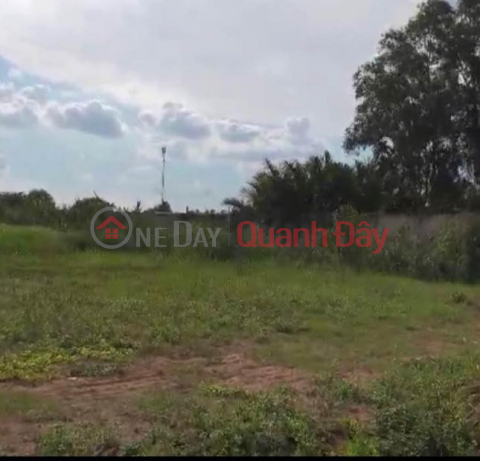 Bad debt, banks sell houses and land in the center of Lac Tanh town, Tanh Linh district, Binh Thuan province _0