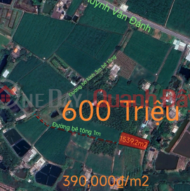 Urgent sale of the cheapest rice land plot in the area near Highway 50B for 600 million _0