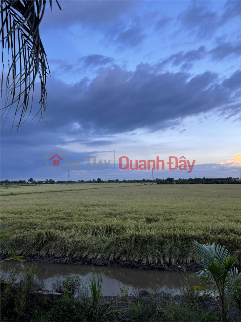 PRIMARY LAND - GOOD PRICE - Only in Hamlet 1 Long Thanh, Thu Thua - Long An _0