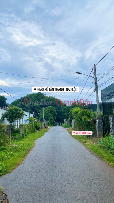 Urgent sale of Tho Cu land - Near Tan Thanh Church, Bao Loc - Extremely soft price _0