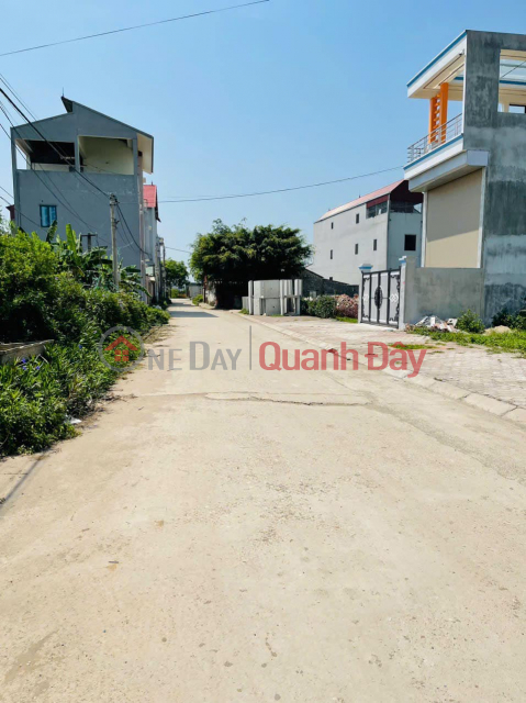 Trinh Xa, Chi Dao, Van Lam auction subdivision for sale, cheapest price on the market _0