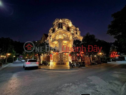 Viet Hung villa, corner plot, 4 sides open, garden, Koi fish pond, absolute security. _0