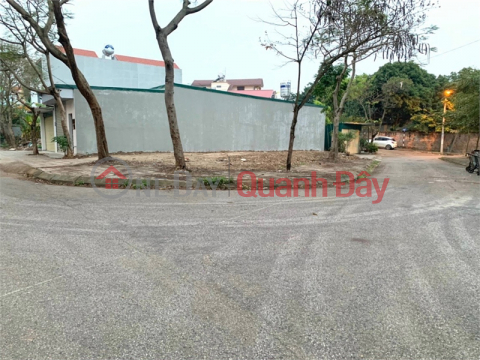 Land for sale on Le Quang Ba street, Lien Bao ward, Vinh Yen city, Vinh Phuc. _0