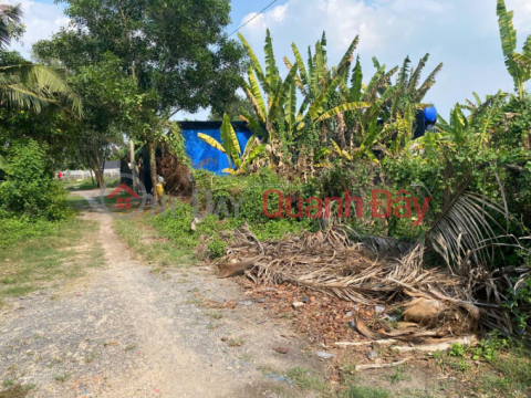 OWNER SELLING LAND WITH READY TITLE DEED AT THE BEST PRICE IN XUAN THOI SON _0