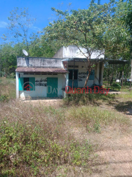 Owner Needs to Sell a Beautiful Land Plot in Lac Tanh Town, Tanh Linh District, Binh Thuan Sales Listings