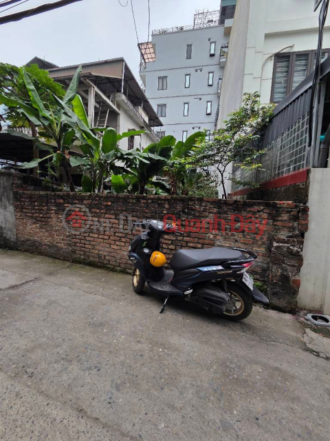 Land for sale in Ngoc Thuy, inside the dike, near the French school, 100m from the main road accessible by car, cheapest in the area. _0