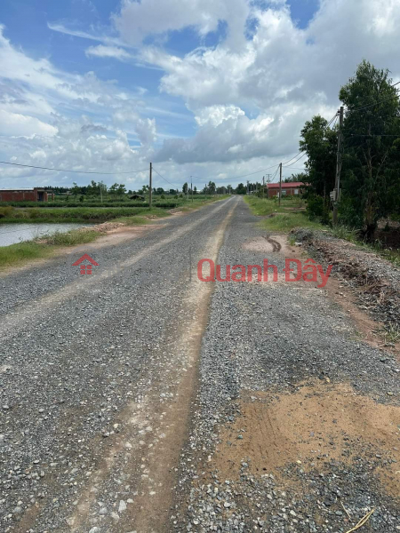 Property Search Vietnam | OneDay | Residential | Sales Listings OWNERS NEED TO SELL QUICK Beautiful Lot - Great Potential In An Hoa, My An, Thanh Phu, Ben Tre