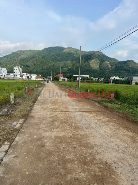 Suối hiệp _ Diên Khánh
Chính chủ cần bán nhanh Diện tích 956 có 120m thổ . 
Lô góc 2 mặt tiền bao đẹp. | Việt Nam Bán, đ 4,55 tỷ