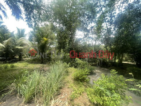 BEAUTIFUL LAND - GOOD PRICE - For Sale By Owner In Dong Hiep Hamlet, Tan Dong Commune, Tan Chau - Tay Ninh _0