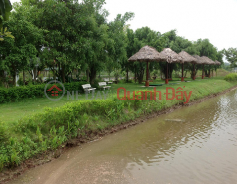 Phu Xuyen resort farm for sale - Thuong Tin, Hanoi _0