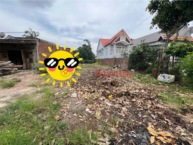 Property Search Vietnam | OneDay | Residential Sales Listings | OWNER Needs to Quickly Sell Front Lot on Asphalt Road 769 at Road 25 Commune, Thong Nhat District, Dong Nai