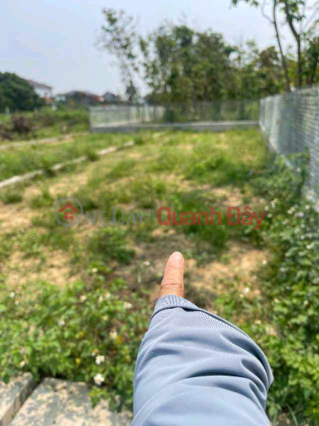 Property Search Vietnam | OneDay | Niêm yết bán, bán lô đất xóm hồng liên nghi liên 90m2
