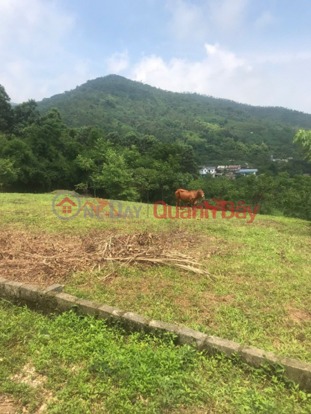  Please Select | Residential, Sales Listings đ 10 Million