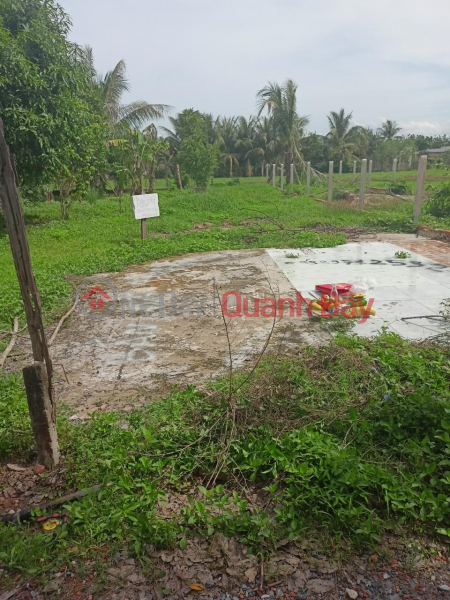 BEAUTIFUL LAND - GOOD PRICE - Owner Needs to Sell Land Plot Quickly in An Co Commune, Chau Thanh District, Tay Ninh Sales Listings